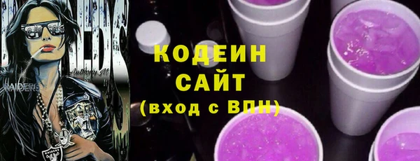 хмурый Осинники