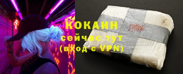 амф Вуктыл