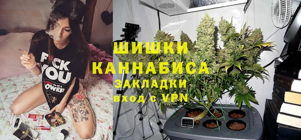 хмурый Осинники