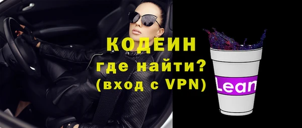 хмурый Осинники