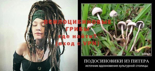 мдпв Нязепетровск