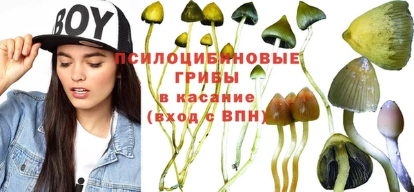 мдпв Нязепетровск