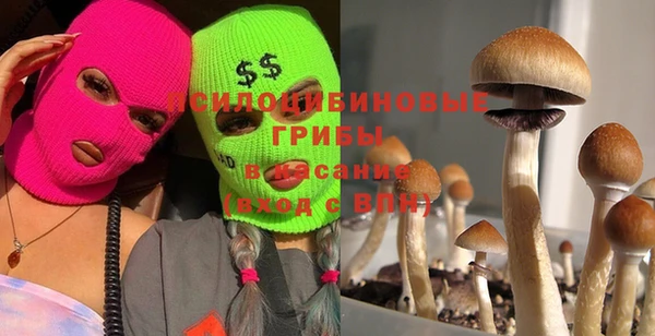 прущий лед Остров