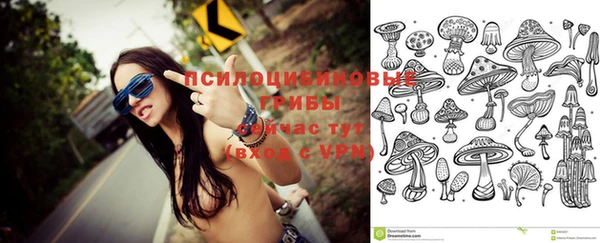 спиды Няндома