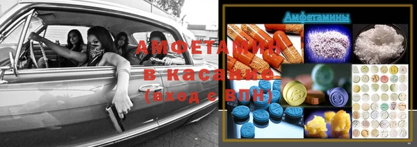 хмурый Осинники