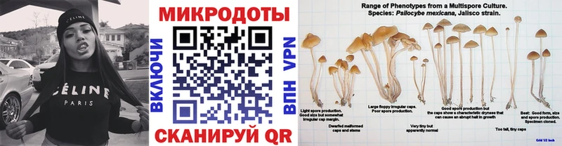Галлюциногенные грибы Cubensis  как найти закладки  Игарка 